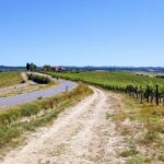 By Ebike: Visit an Art Park and Wine Taste in the Classic Chianti - Things to Consider