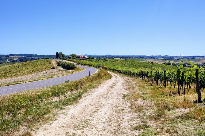 By Ebike: Visit an Art Park and Wine Taste in the Classic Chianti - Things to Consider