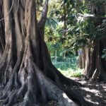 Cabecera Park Private Segway Tour - Final Thoughts: Is It Worth It?