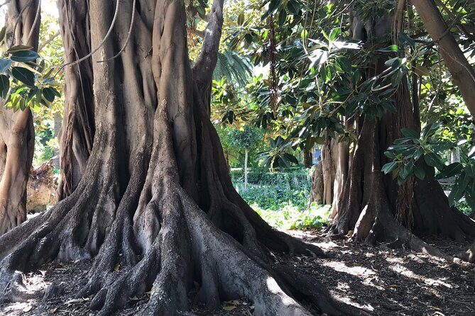 Cabecera Park Private Segway Tour - Final Thoughts: Is It Worth It?