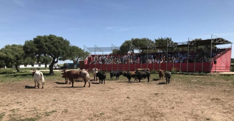 Cadiz: Andalusian Horses and Bulls Country Show - Is It Worth the Price?
