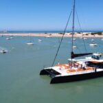 Cadiz: Bay of Cadiz Catamaran Tour with Host - Who Would Love This Experience?