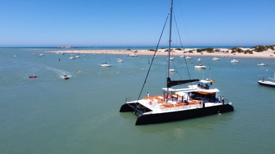Cadiz: Bay of Cadiz Catamaran Tour with Host - Who Would Love This Experience?