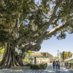 Cadiz: Enigmas City Tour - Exploring Cádiz’s Secrets: What to Expect