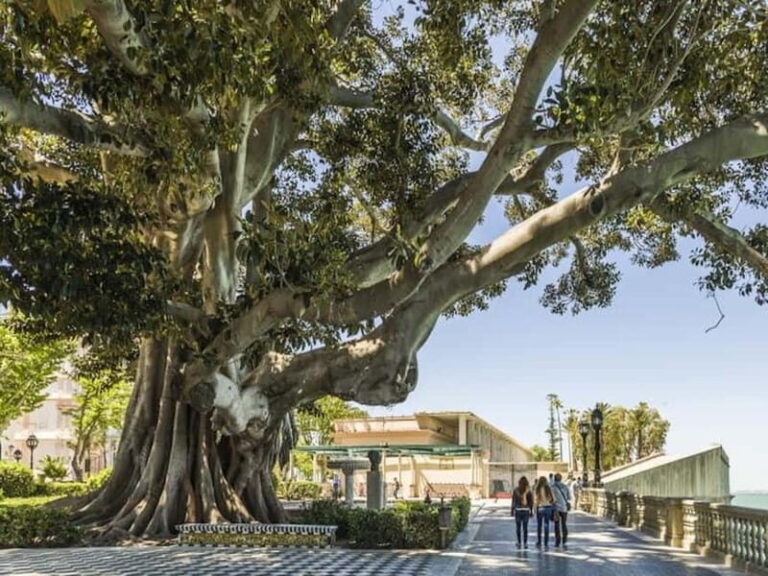 Cadiz: Enigmas City Tour - Exploring Cádiz’s Secrets: What to Expect