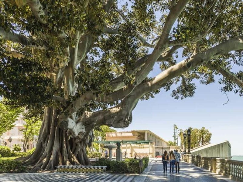 Cadiz: Enigmas City Tour - Exploring Cádiz’s Secrets: What to Expect