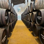 Cadiz: Private Tour with Wine Tasting - Why This Tour is a Great Choice