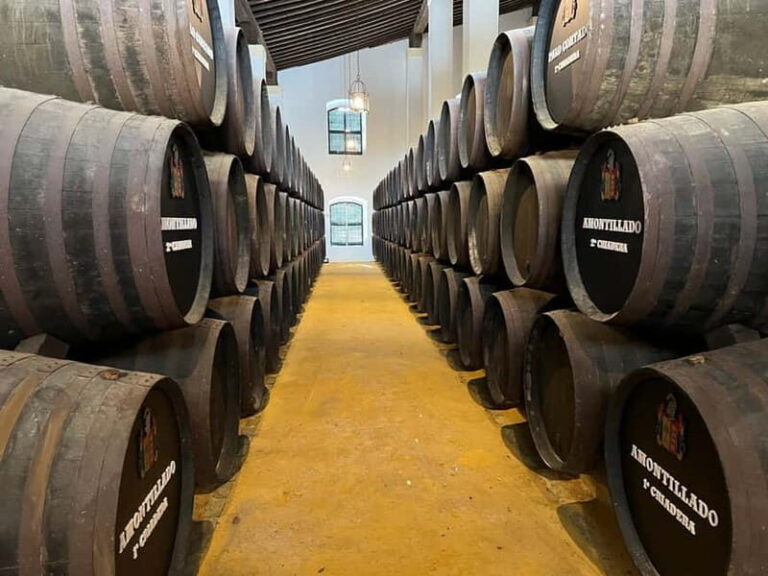 Cadiz: Private Tour with Wine Tasting - Why This Tour is a Great Choice