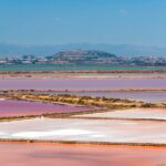 Cagliari: Conti Vecchi Salt Flats Train and Tour - Practical Details and Value