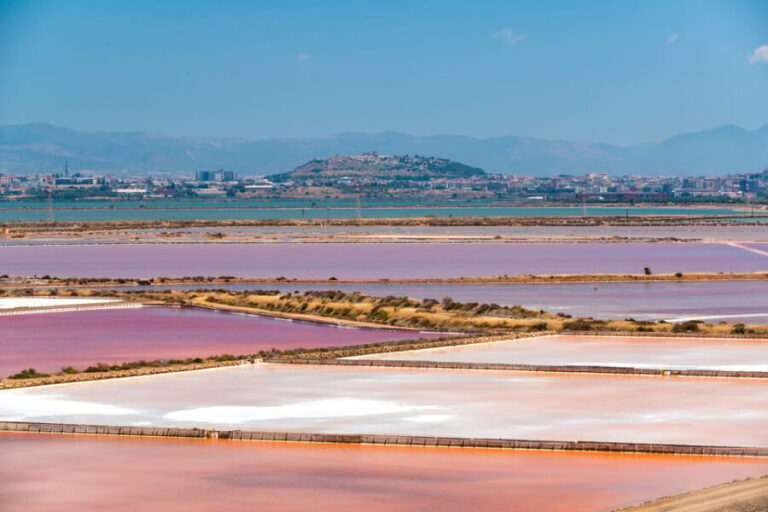 Cagliari: Conti Vecchi Salt Flats Train and Tour - Practical Details and Value