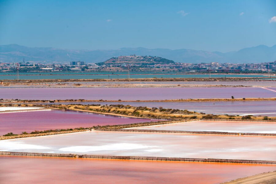 Cagliari: Conti Vecchi Salt Flats Train and Tour - Practical Details and Value