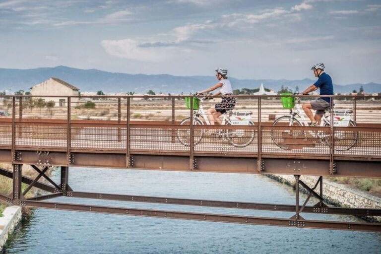 Cagliari E-Bike Tour: Canals & Flamingos at Molentargius - What Makes This Tour Stand Out?