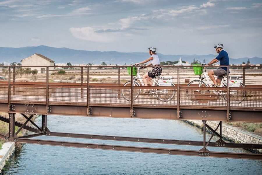 Cagliari E-Bike Tour: Canals & Flamingos at Molentargius - What Makes This Tour Stand Out?