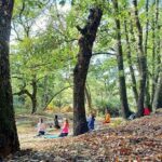 Cagliari: forest bathing at Sette Fratelli Park - Who Will Love This Tour?