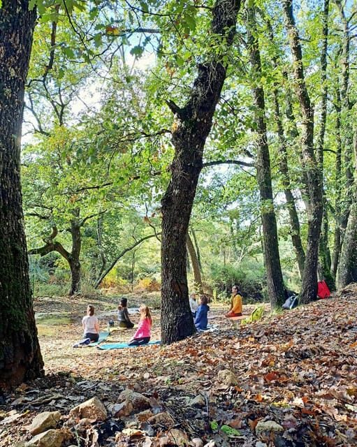 Cagliari: forest bathing at Sette Fratelli Park - Who Will Love This Tour?