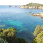 Cagliari: Professional Guided Coasteering Tour from Pinus Village - What to Expect During the Experience