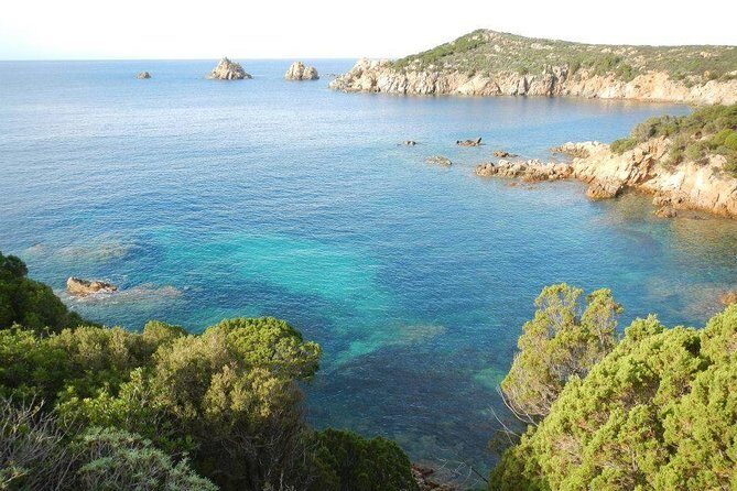 Cagliari: Professional Guided Coasteering Tour from Pinus Village - What to Expect During the Experience