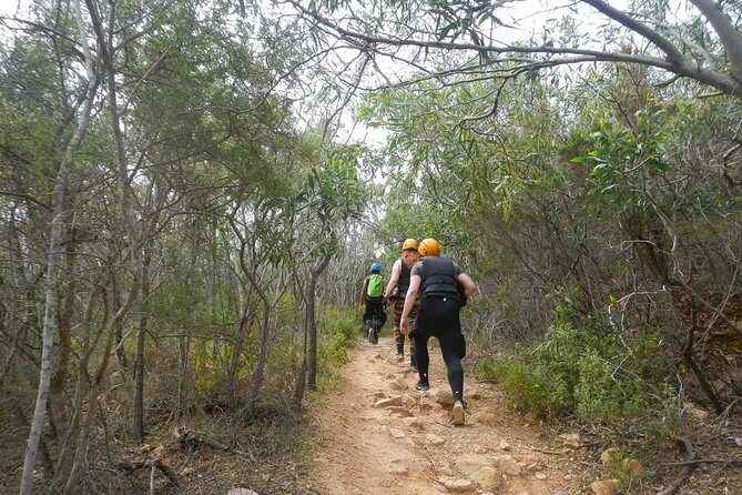 Cagliari Shore Excursion: Professional Guided Coasteering - Practical Details and How It All Comes Together