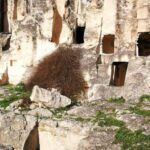 Cagliari Tour: Tuvixeddu Necropolis archeological park - Final Thoughts