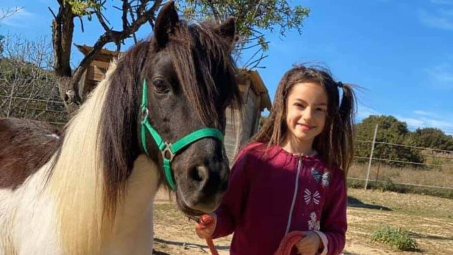 Cagliari: visit the animals of a farm - Final Thoughts