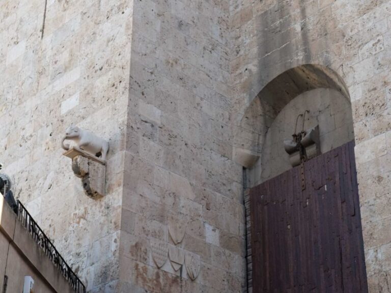 Cagliari: walking tour through the alleys of Castello - Who Should Consider This Tour?