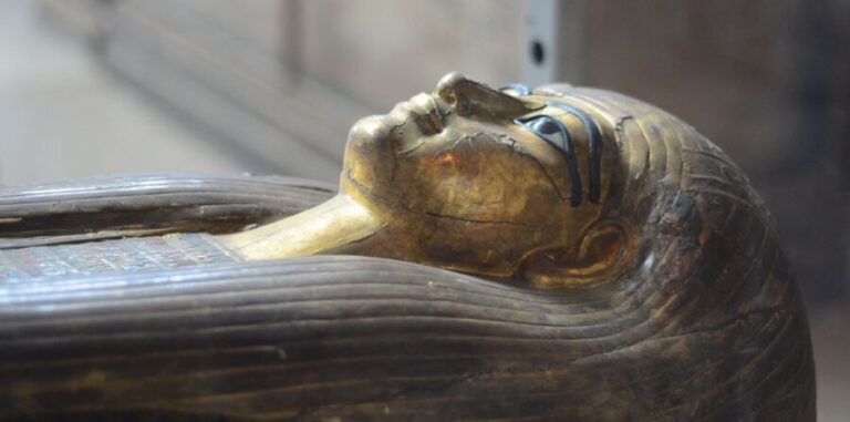 Cairo: Egyptian Museum, Citadel, and Old Cairo Guided Tour - Value and Practicality