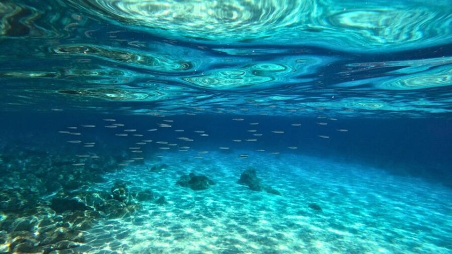 Cala Gonone: Snorkeling in the Orosei Gulf - What Makes This Tour Special