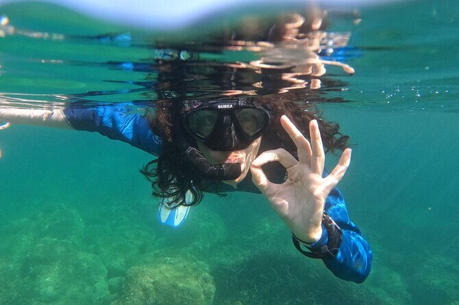 Cala Gonone Snorkeling in the Orosei Gulf - Who Is This Tour Best For?