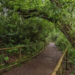Caldeirão Verde: Queimadas PR9 Transfer Hike - Who Will Love This Tour?