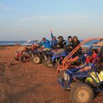 Caleta De Fuste: Guided Buggy Explorer Tour - Who Would Love This Tour?