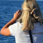 Calheta: Whale & dolphin watching small groups designer tour - The Detailed Itinerary