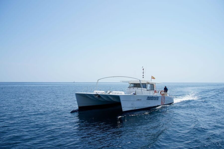 Calpe: Motor catamaran with optional lunch and swimming stop - The Sum Up