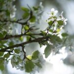 Calvados: the art of making Coquerel Calvados and Normindia Gin - Who Should Consider This Tour?