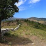 Calvi: Asco Valley 4x4 Day Tour with Guide - The Practical Side: What You Need to Know