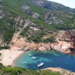 Calvi to Scandola: 4-Hour Boat Tour - What’s Included and What’s Not