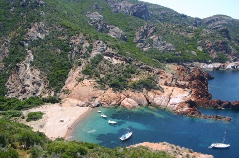 Calvi to Scandola: 4-Hour Boat Tour - What’s Included and What’s Not