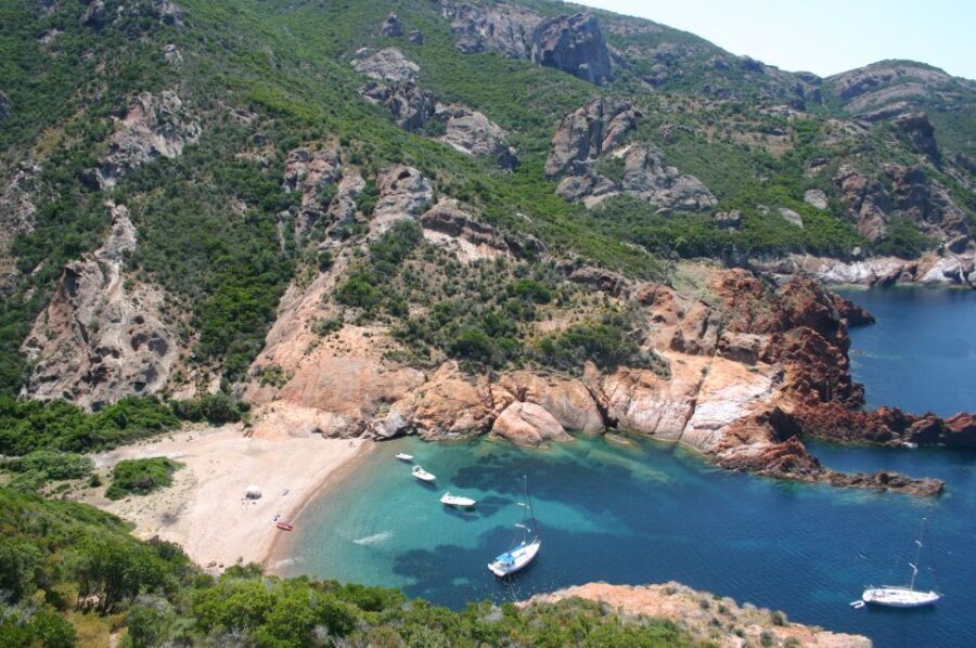 Calvi to Scandola: 4-Hour Boat Tour - What’s Included and What’s Not