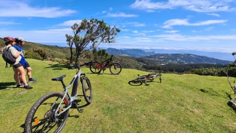 Camacha: Levada Trail e-Bike Guided Tour - What Sets This Tour Apart?