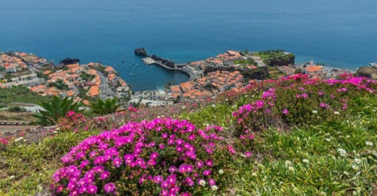 Câmara de Lobos: Private Fishing Village Tour by Tuk-Tuk - What We Loved About This Tour