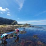 Camaret-sur-mer: Seaweed picking and cooking workshop - Who Will Enjoy This Experience the Most?