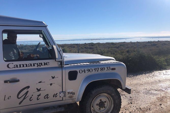 Camargue 4x4 Safari 2 hours Saintes Maries de la Mer - Who Should Consider This Tour?