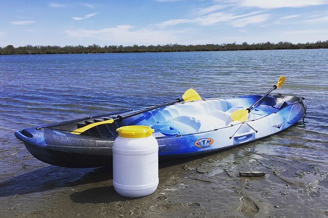 Camargue 4x4 Safari 2h + Picnic + Kayak - Authentic Experiences and What Reviewers Say