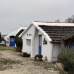 Camargue, its secrets and its magic: an exclusive tour - Who Will Love This Tour?