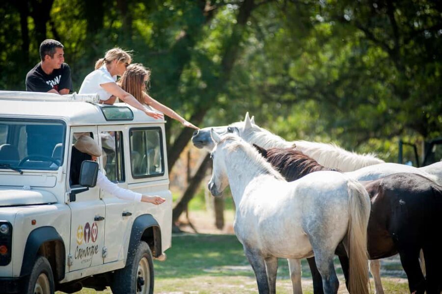 Camargue: Safari 4x4, VIP Tour with Meal 8h, Grau du Roi - Who is This Tour Best For?