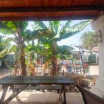 Camel Experience - Final Thoughts: Is It Worth It?