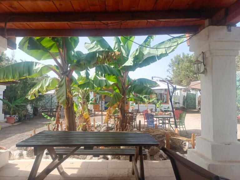 Camel Experience - Final Thoughts: Is It Worth It?