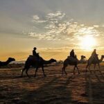 Camel Safari in Cappadocia - Practical Considerations
