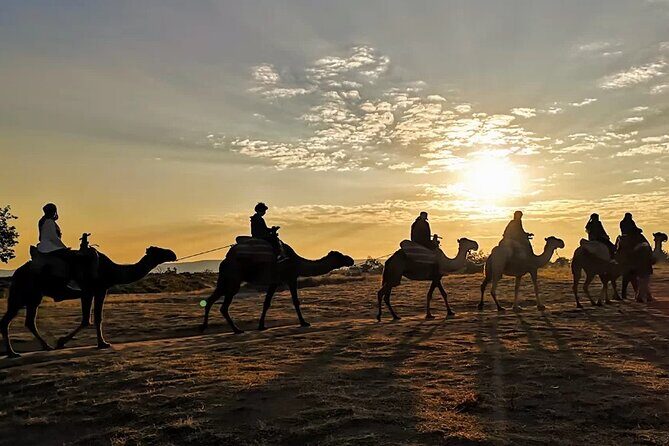 Camel Safari in Cappadocia - Practical Considerations