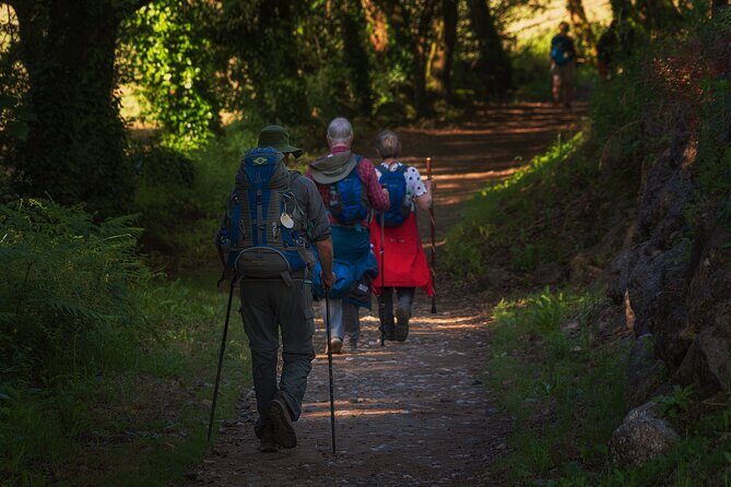 Camino de Santiago Portuguese from Tui to Santiago de Compostela - FAQs