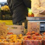 Campo dei Fiori Market and Trevi Fountain District Food & Wine Tour in Rome - Who Is This Tour Best For?